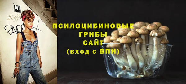стафф Алексин