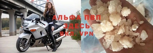 сатива Алзамай
