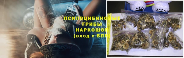 хмурый Алексеевка