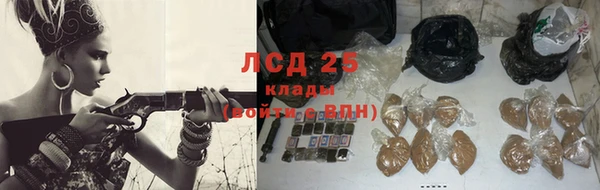 сатива Алзамай