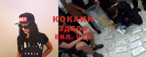 стафф Алексин