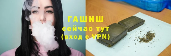 сатива Алзамай
