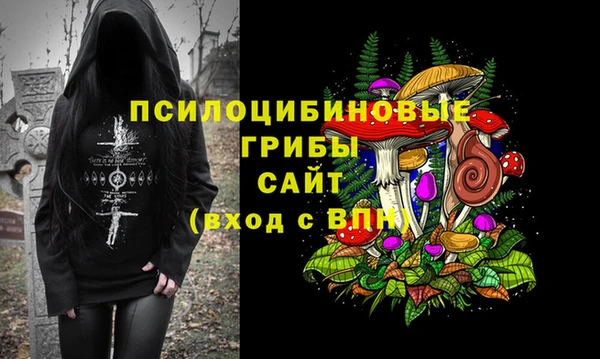 сатива Алзамай
