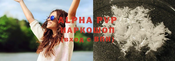 стафф Алексин